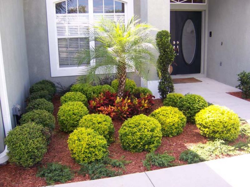 Florida Front Yard Landscaping Ideas