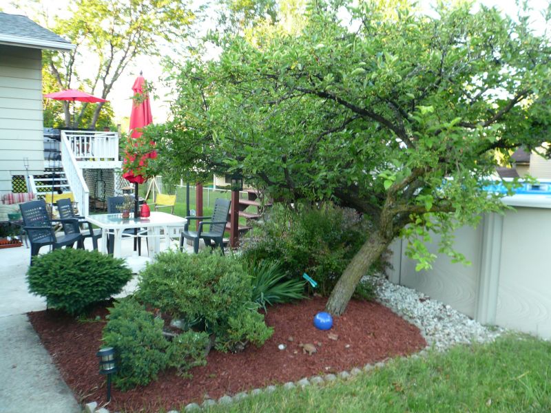 Yard Landscaping Pictures & Ideas: HANK's Place