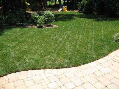 Change your mowing pattern each time