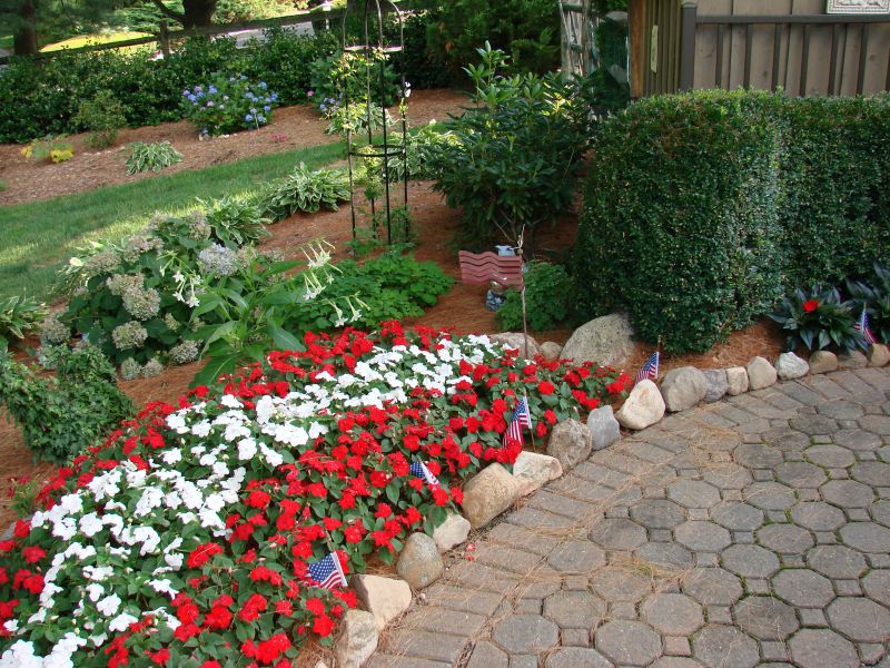 Annuals: A Cure for Spring Fever