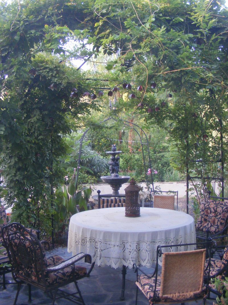 Grow Up! Ideas For Climbing Plants