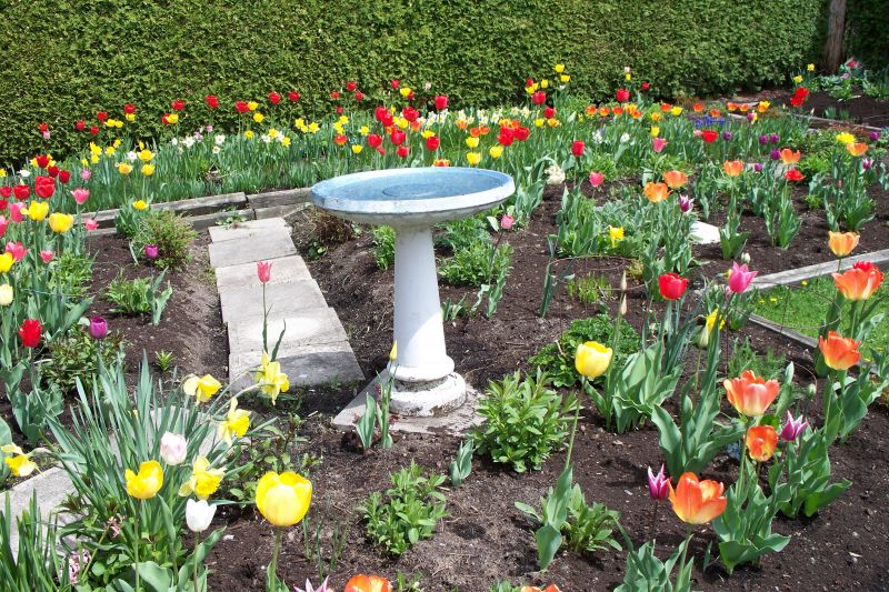 Making Plans, Designing and Creating a New Garden 