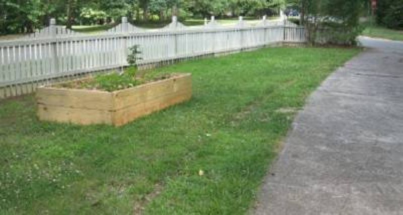 Front Yard With a Side of Veggies
